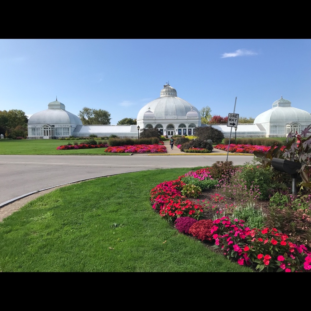 Meet your Posher, Edith